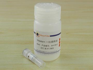 HA抗体(小鼠单抗)